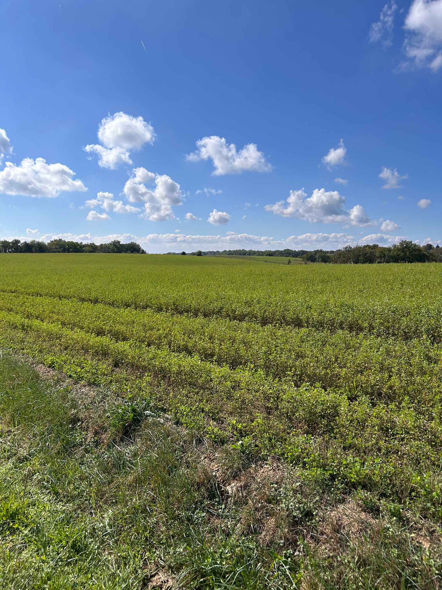 WhatsApp Image 2025-10-27 at 14.44.40