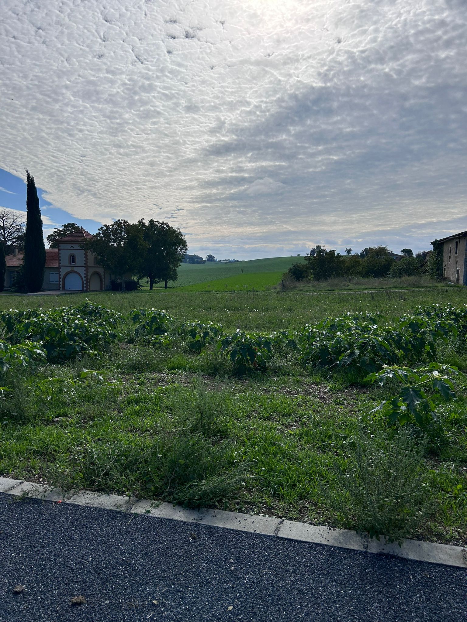 WhatsApp Image 2025-10-27 at 14.44.42 (1)