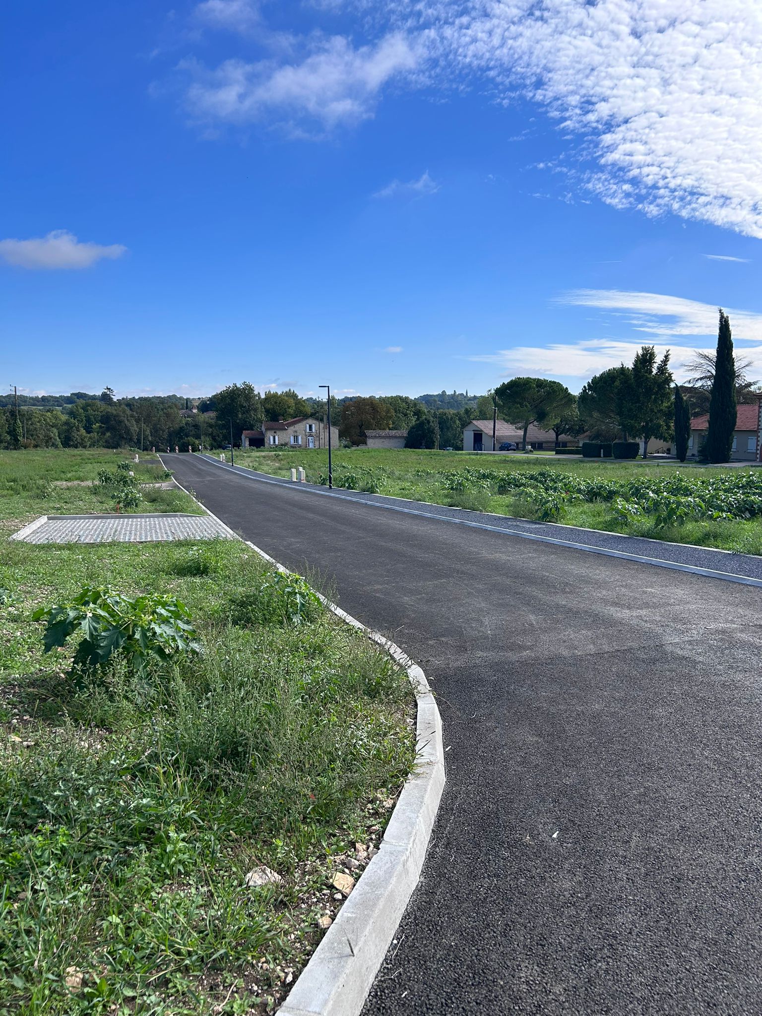 WhatsApp Image 2025-10-27 at 14.44.42 (2)