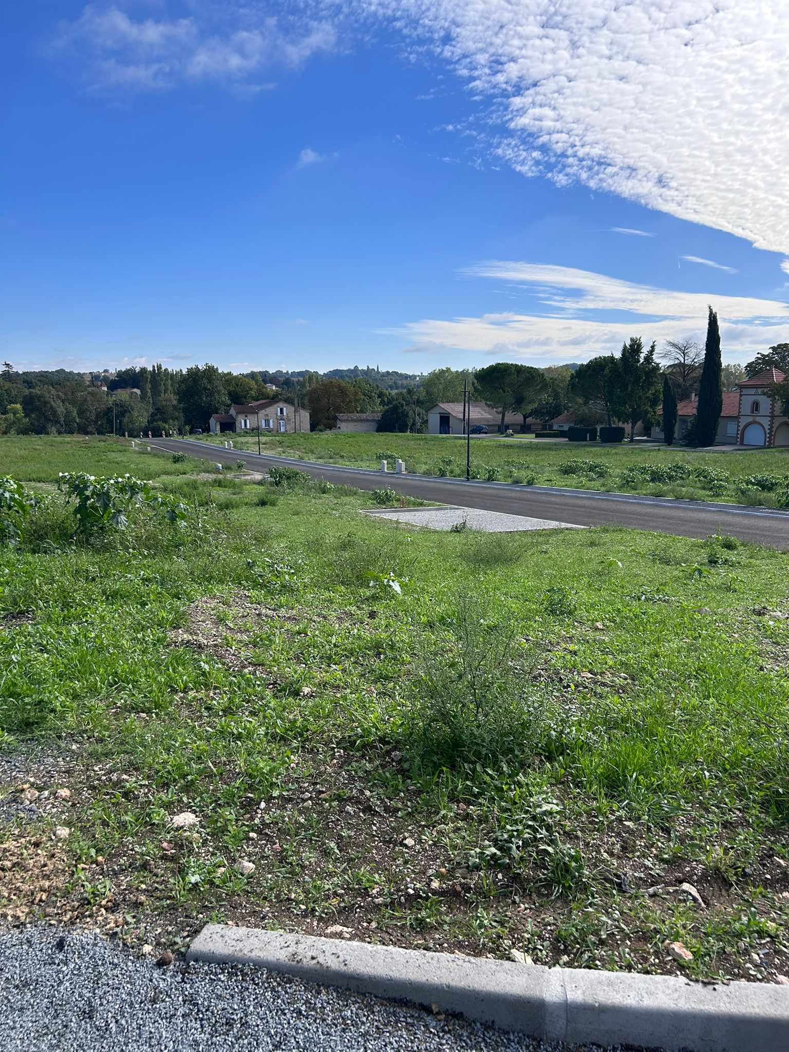 WhatsApp Image 2025-10-27 at 14.44.42 (3)