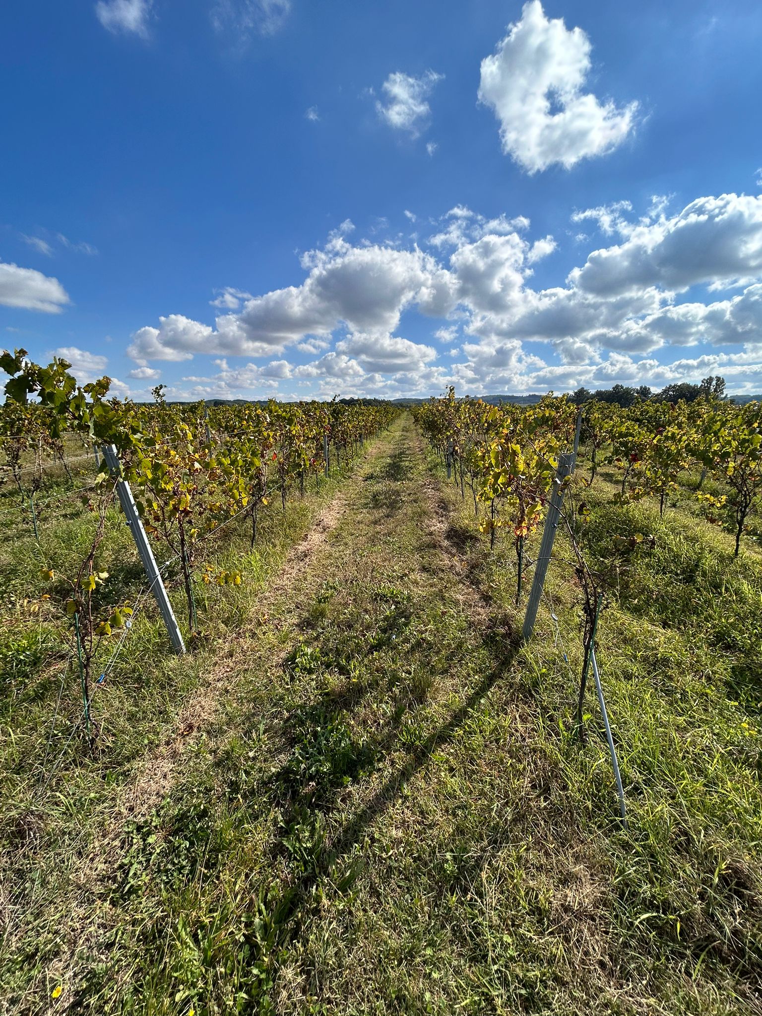 WhatsApp Image 2025-10-27 at 14.44.42 copie