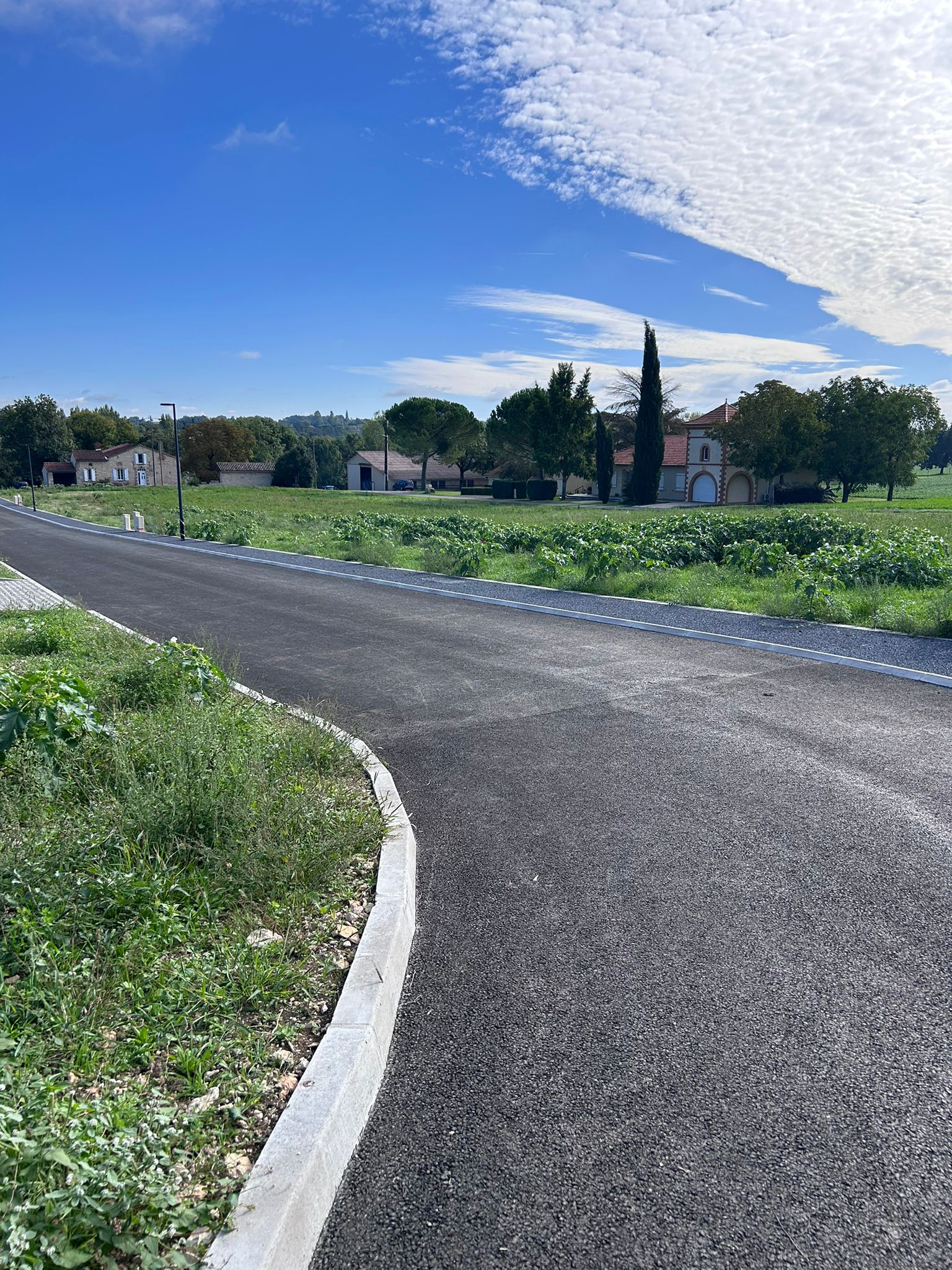 WhatsApp Image 2025-10-27 at 14.44.43 (2)