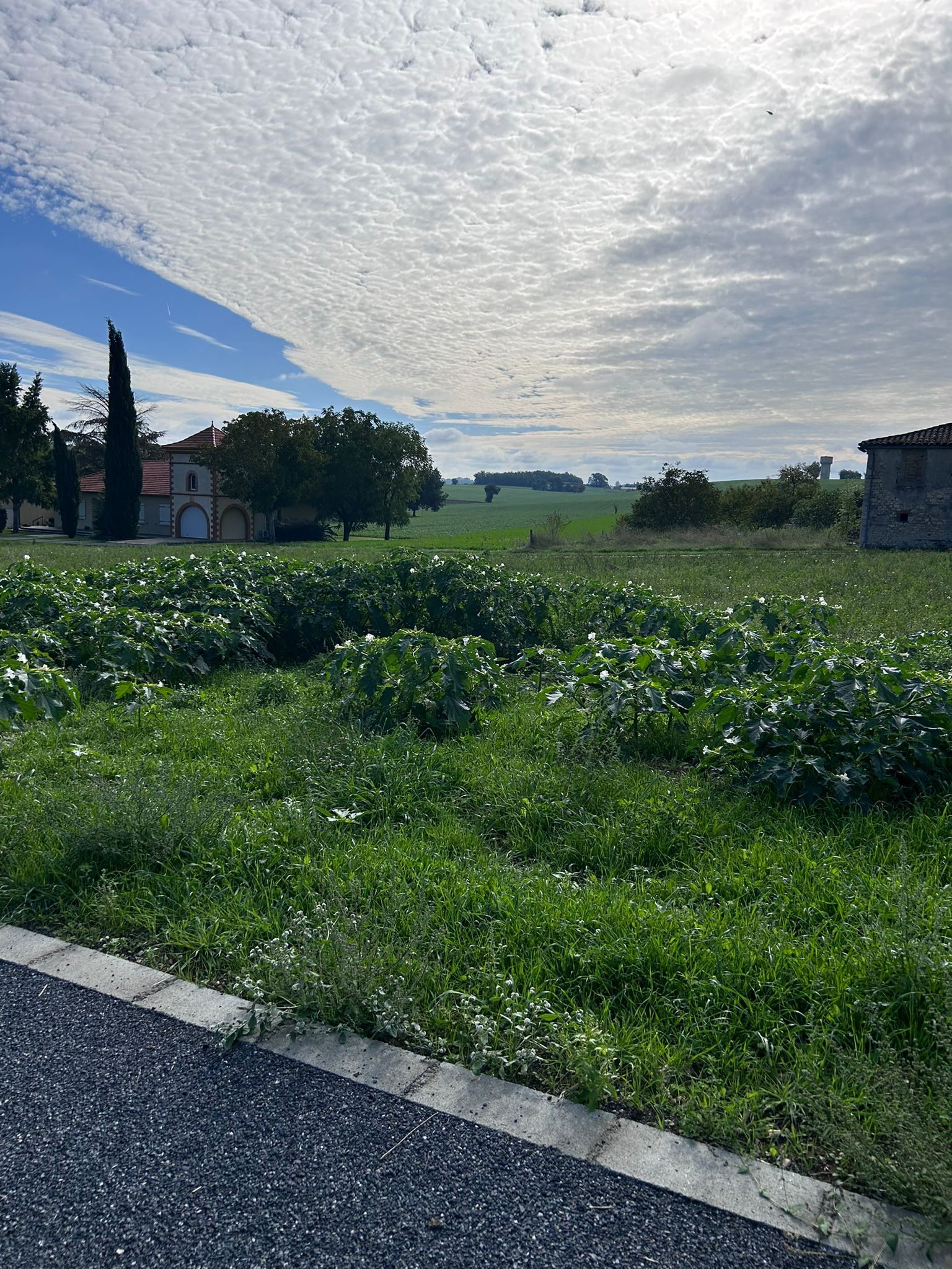 WhatsApp Image 2025-10-27 at 14.44.43 (3)