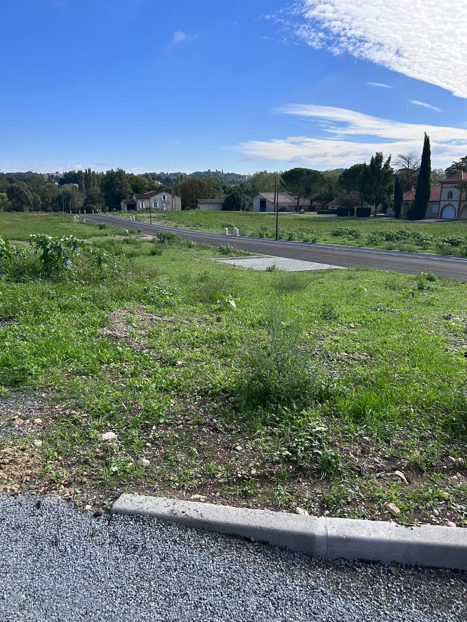 WhatsApp Image 2025-10-27 at 14.44.43 (5)