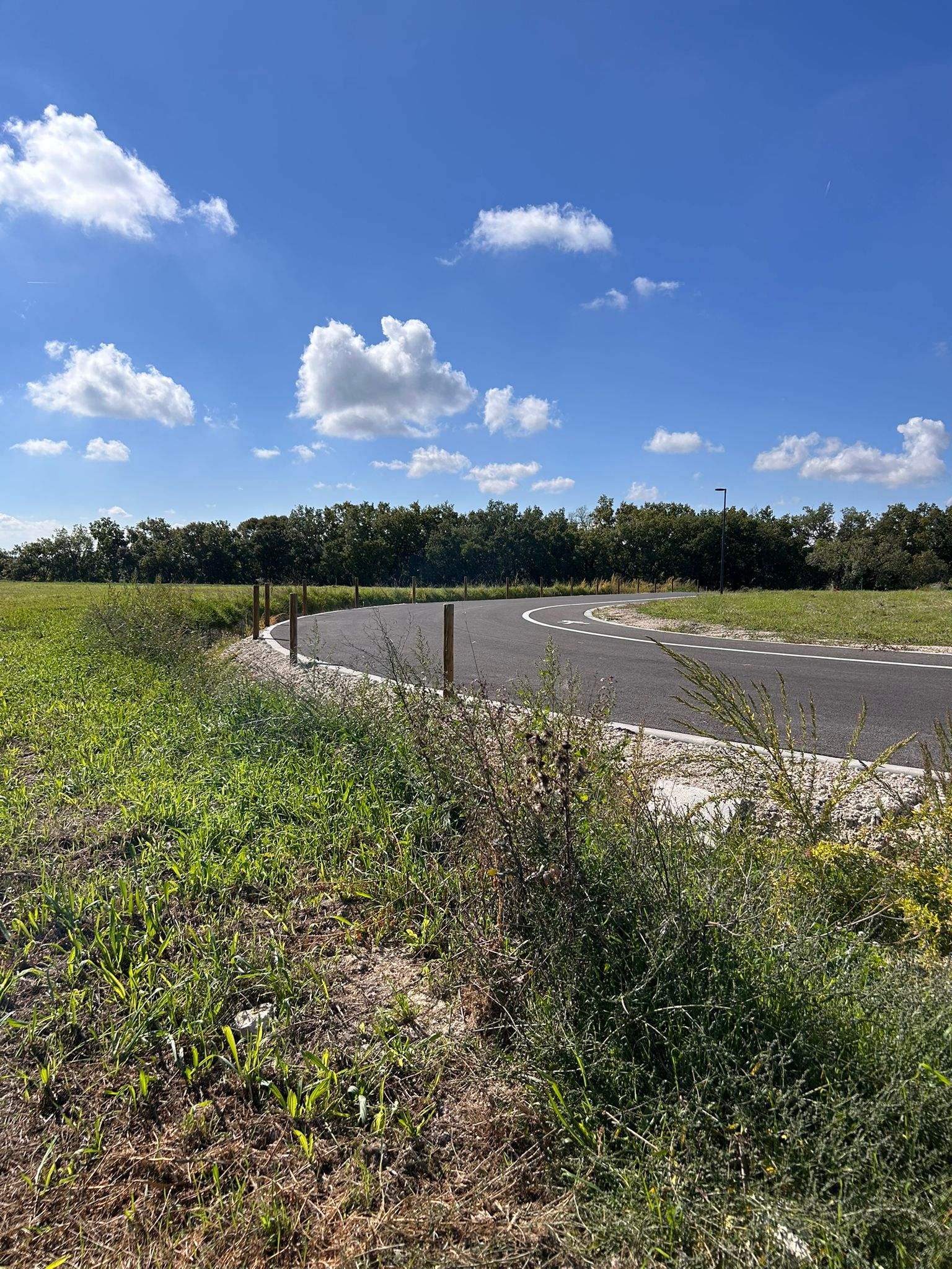 WhatsApp Image 2025-10-27 at 14.44.45 (1)