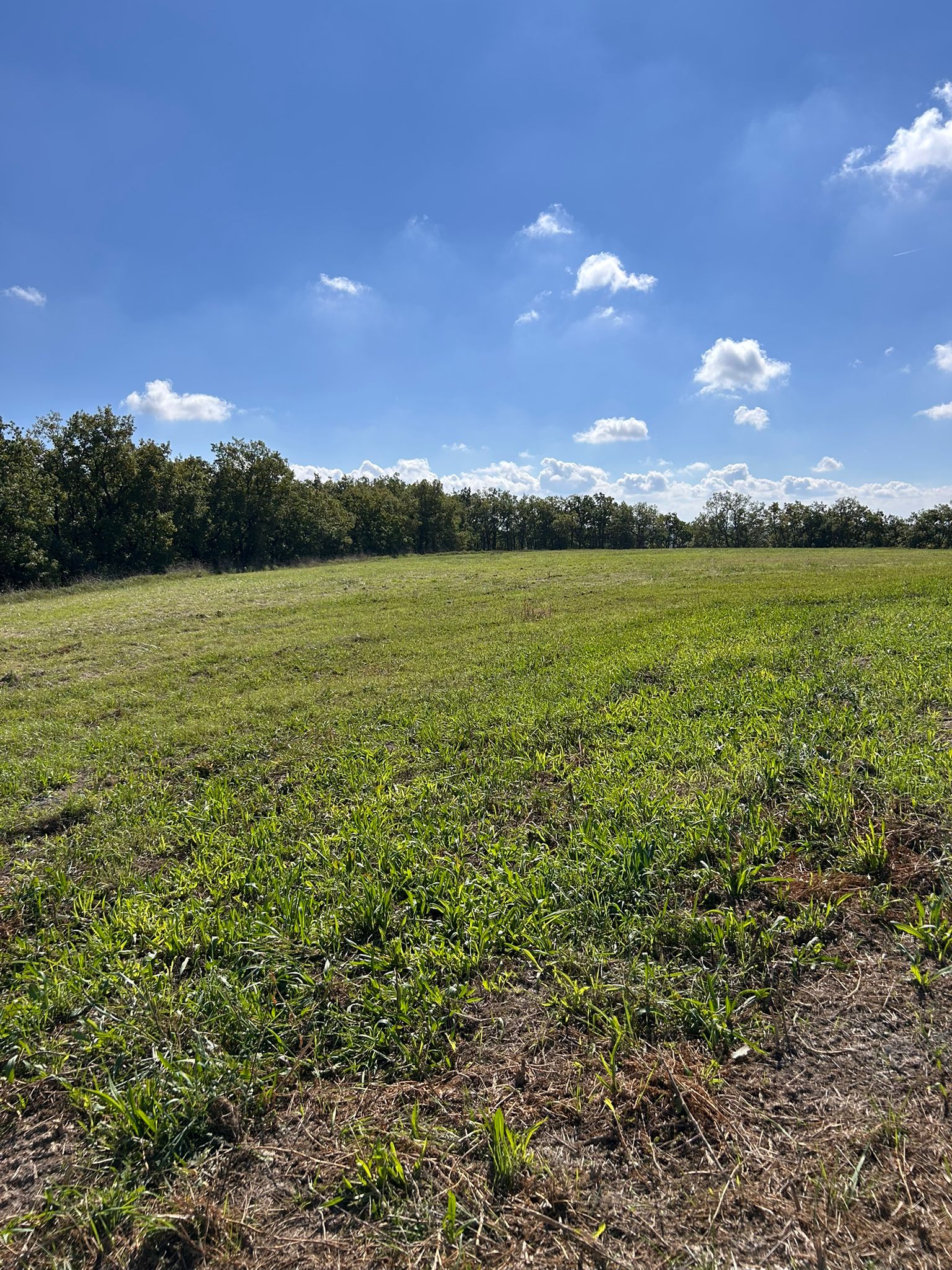 WhatsApp Image 2025-10-27 at 14.44.45 (2)