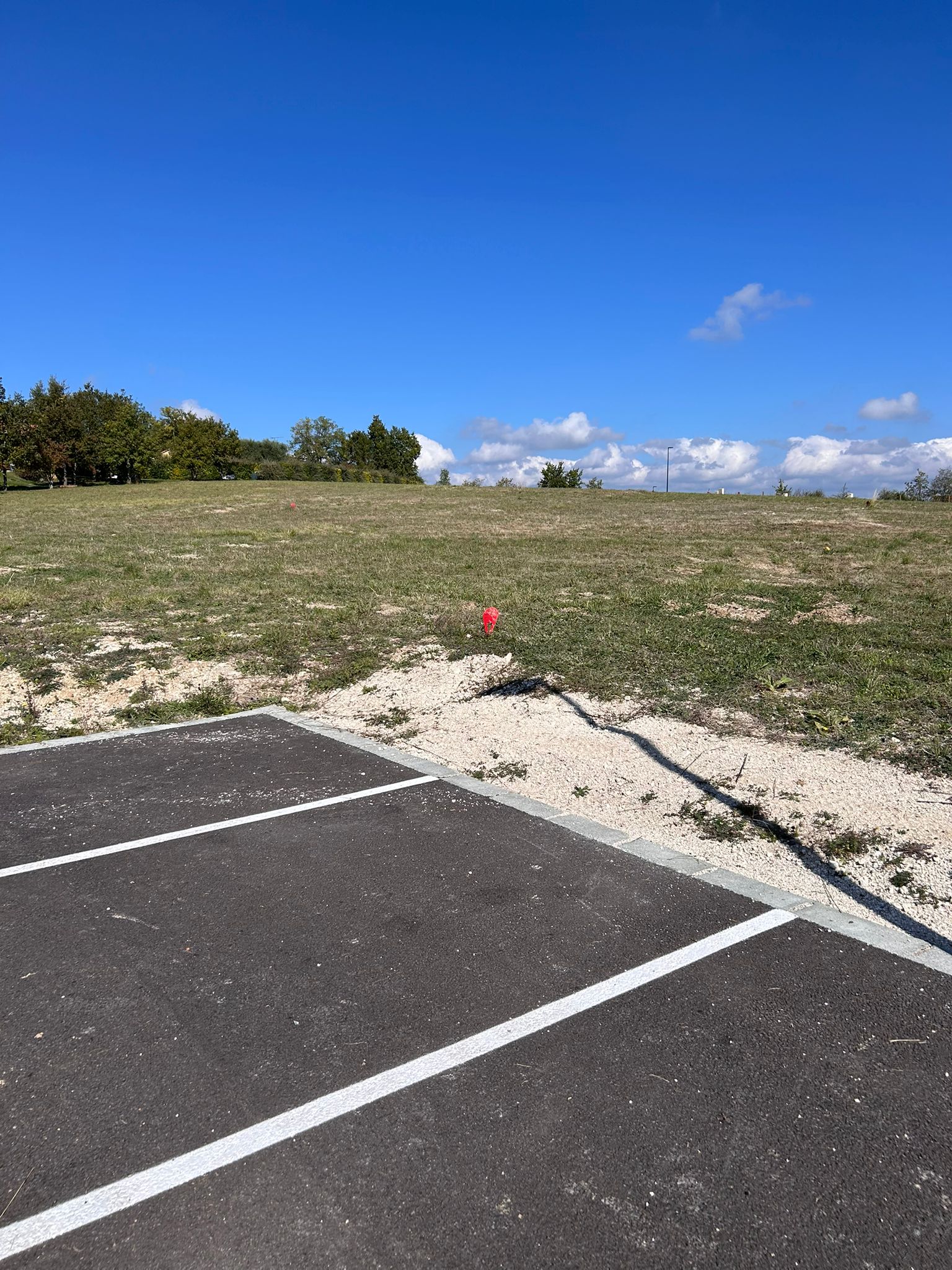 WhatsApp Image 2025-10-27 at 14.44.45 (5)