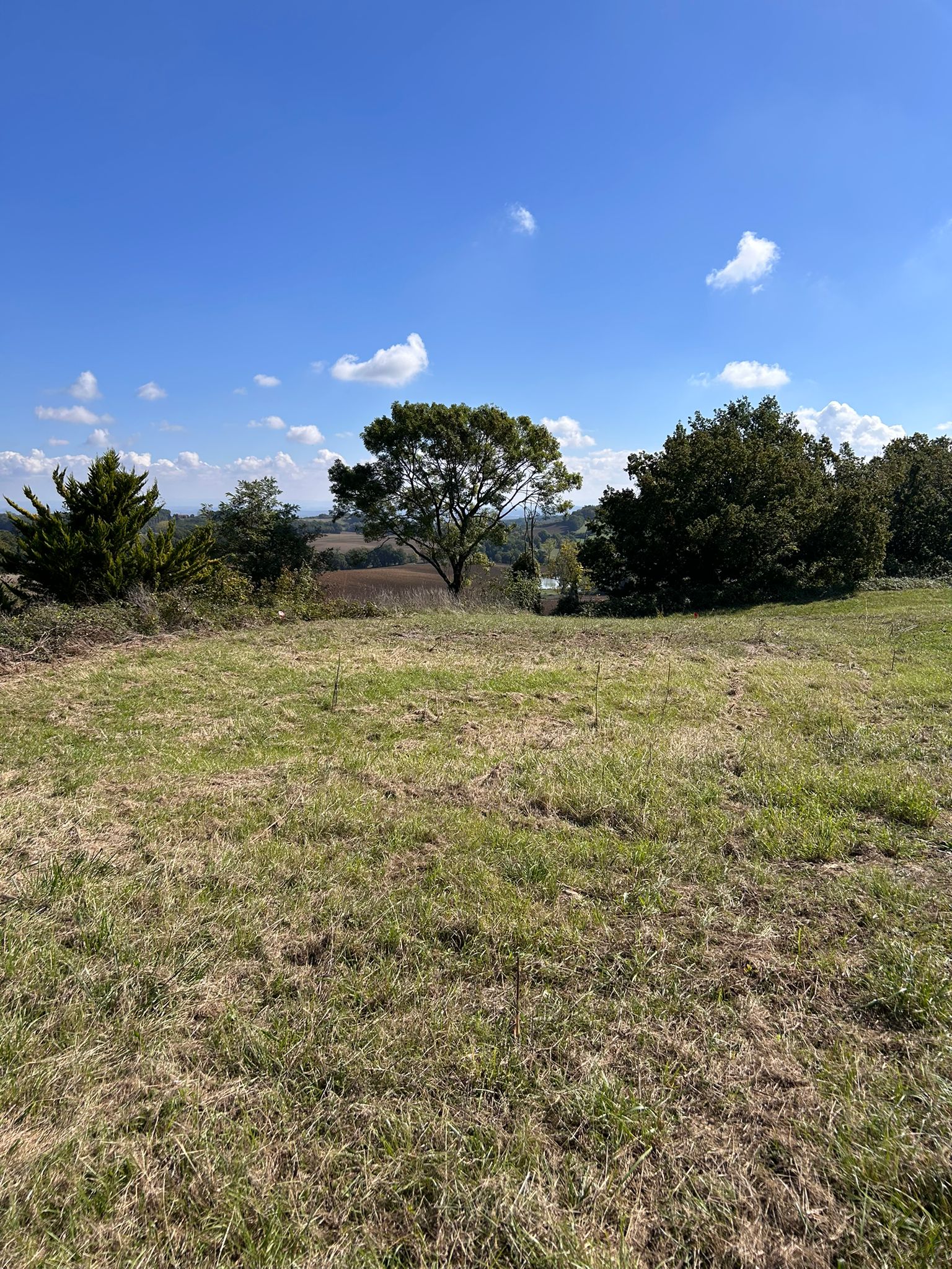 WhatsApp Image 2025-10-27 at 14.44.46 (1)