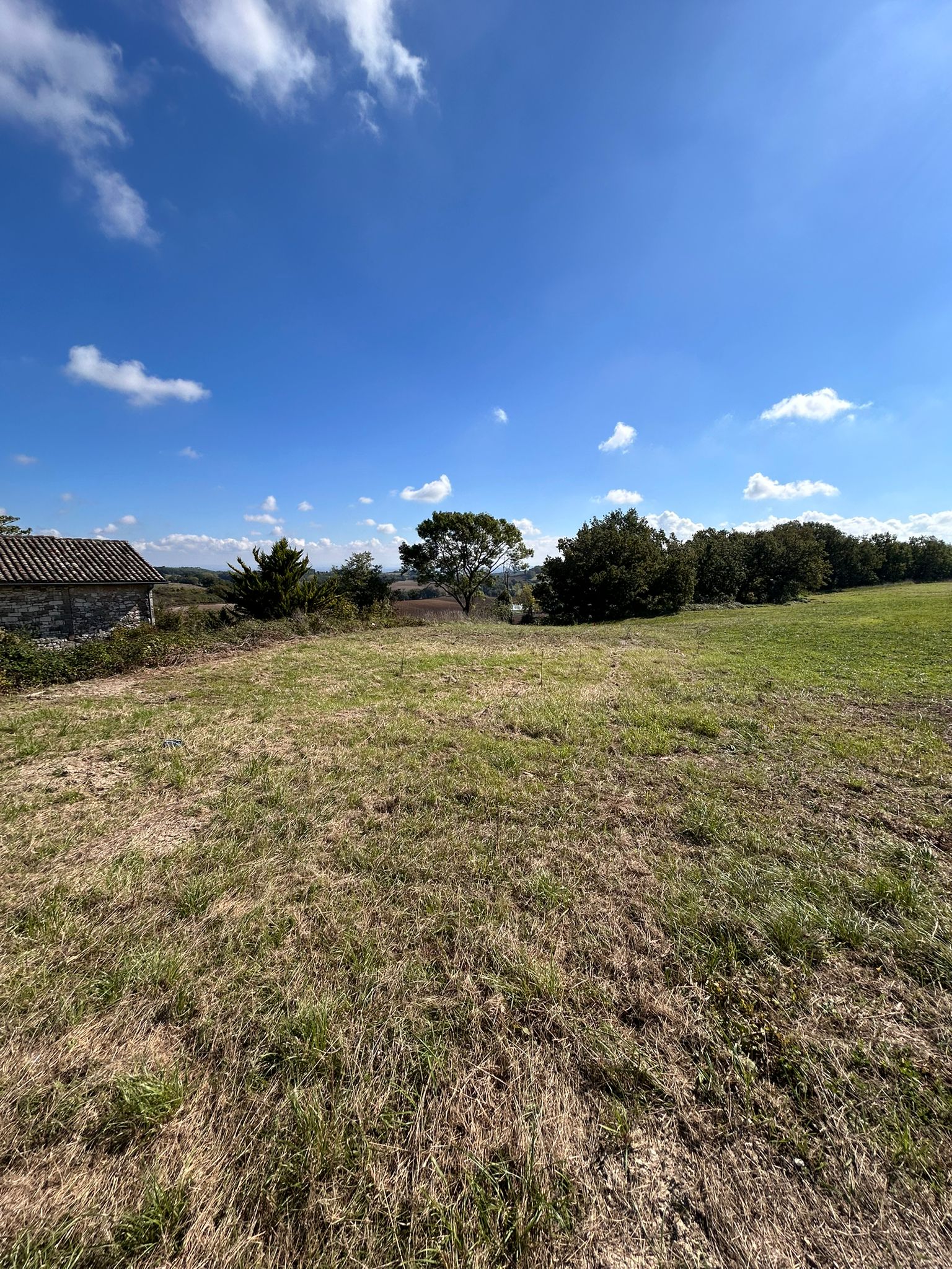 WhatsApp Image 2025-10-27 at 14.44.47